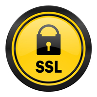 ssl-salaus